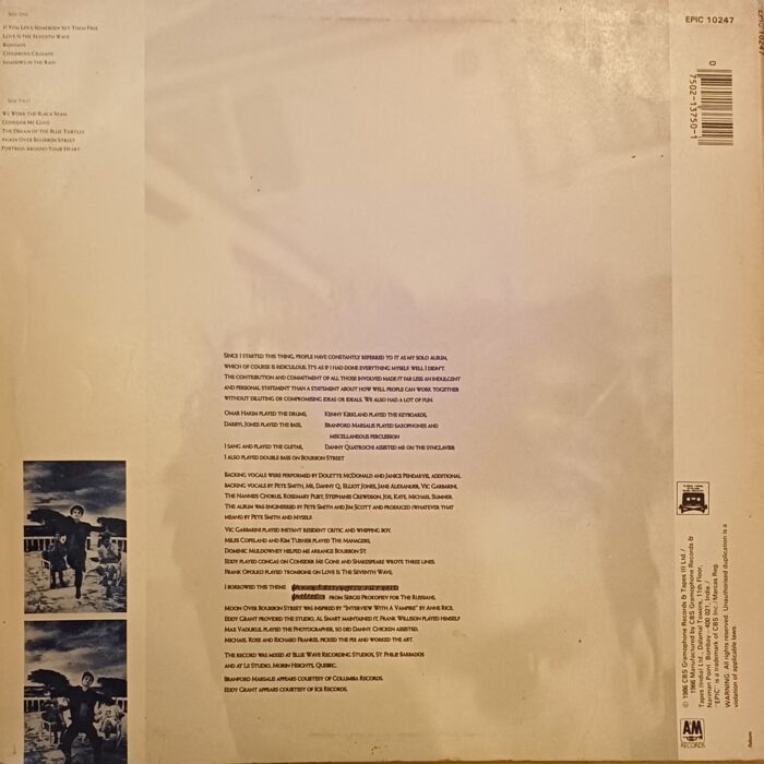 Sting - The Dream of the Blue Turtles - Image 2