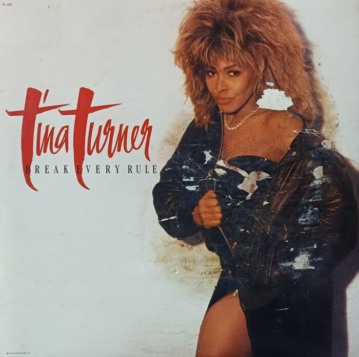 TINA TURNER  BREAK EVERY RULE