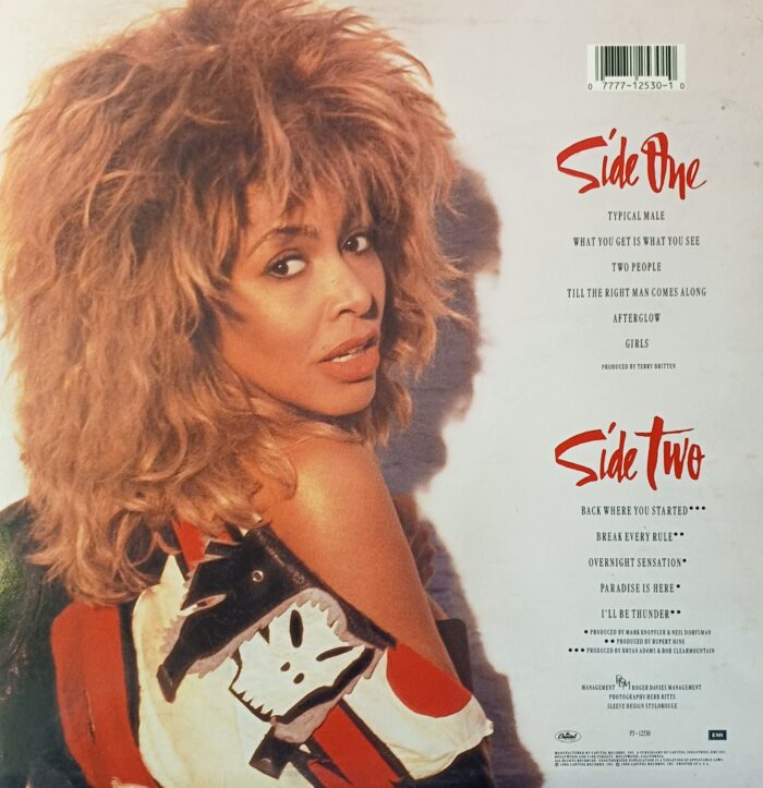 TINA TURNER  BREAK EVERY RULE - Image 2