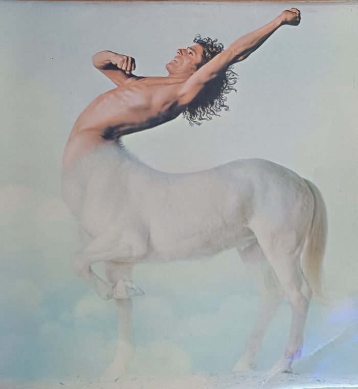 RIDE A ROCK HORSE