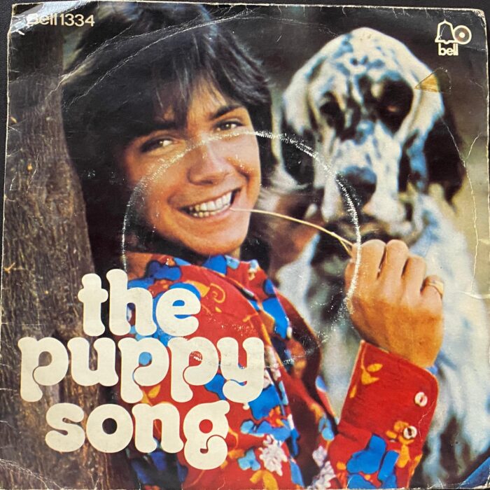 The Puppy Song - David Cassidy