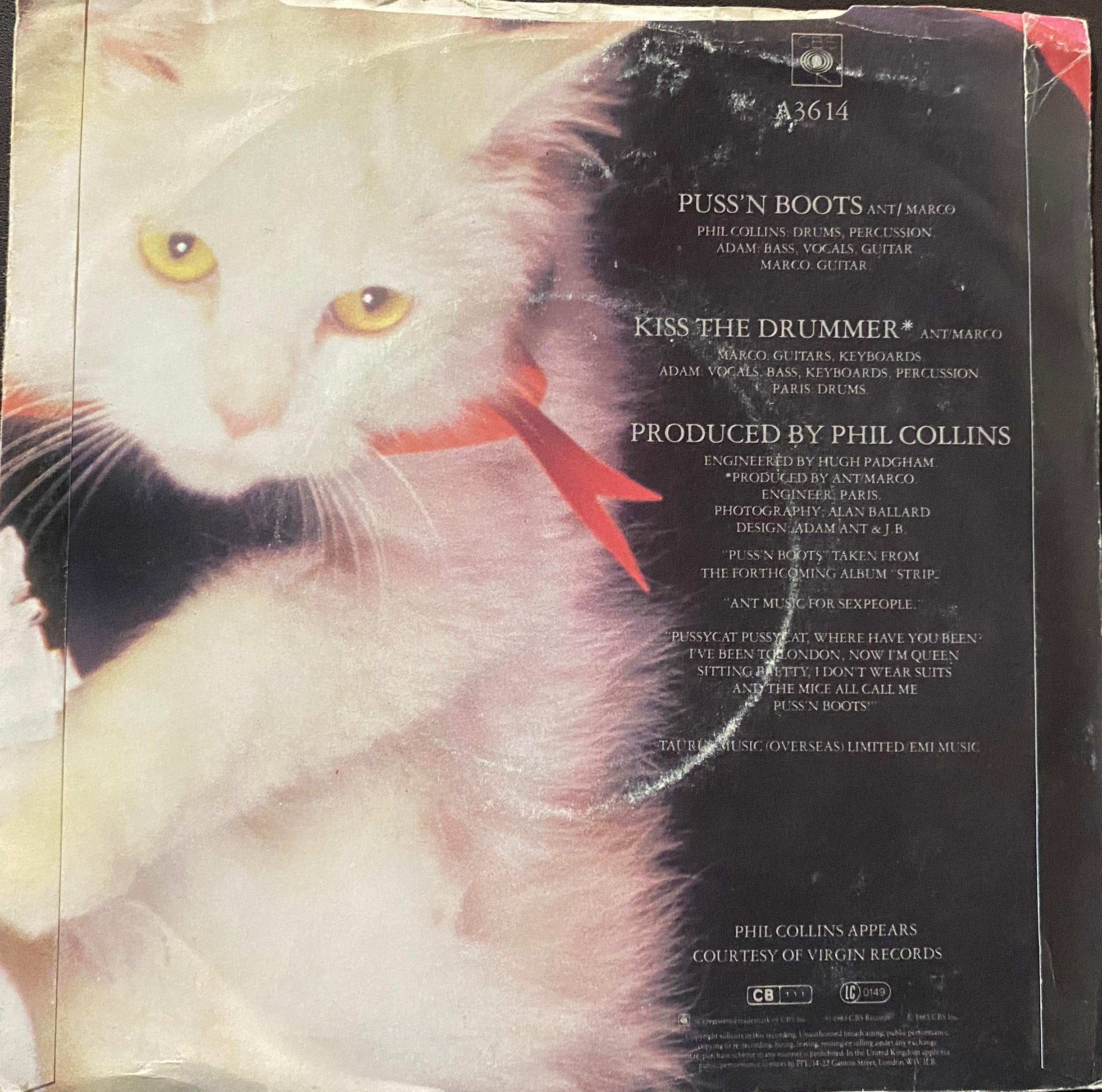 Puss'N Boots - Adam Ant - Image 2