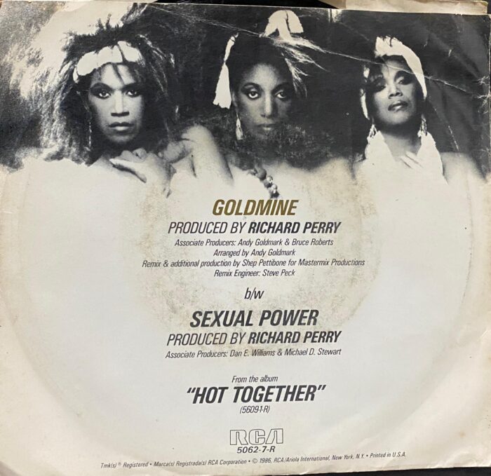 Goldmine - Pointer Sisters - Image 2