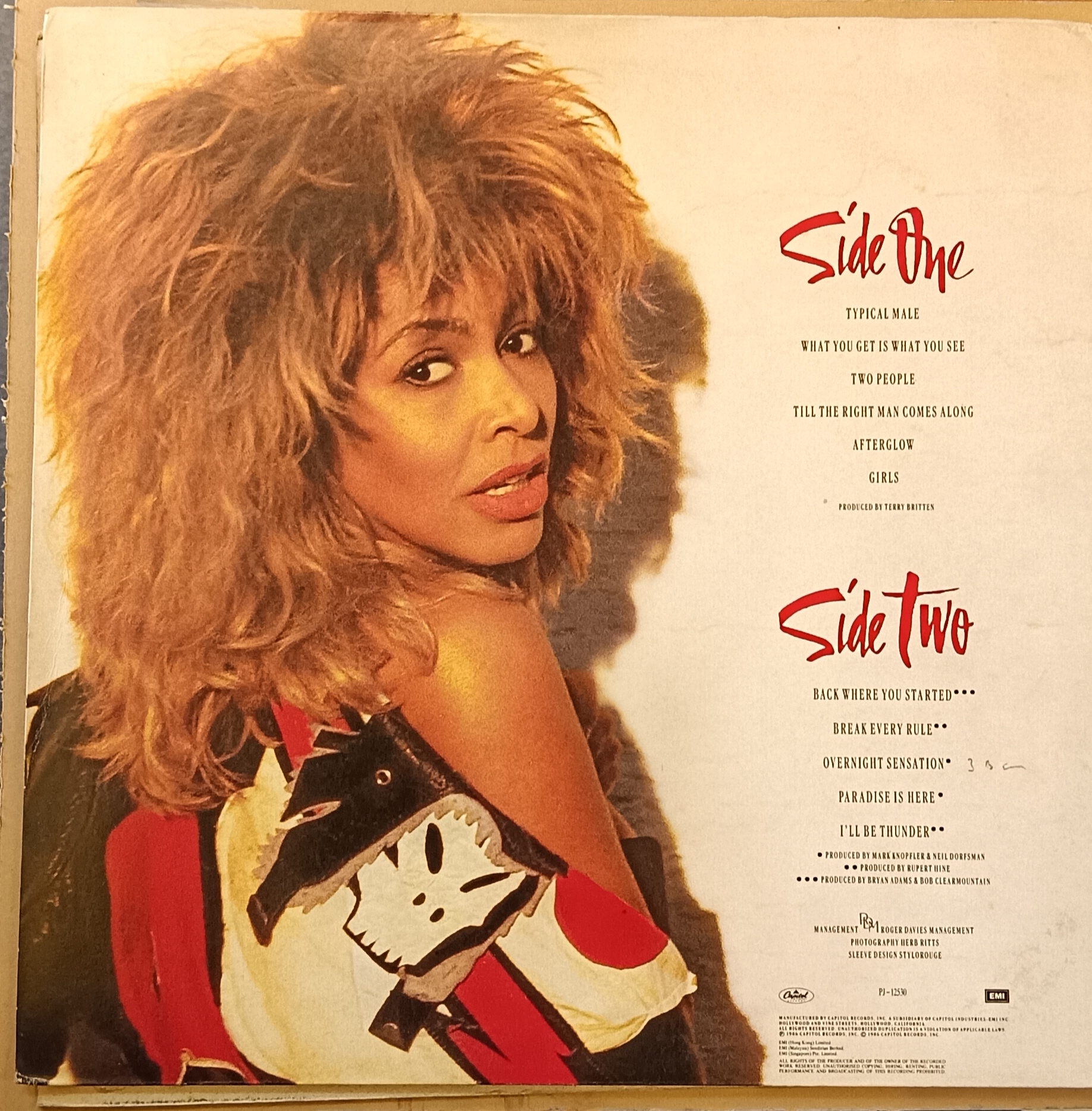 Tina Turner - Break Every Rule - Image 2